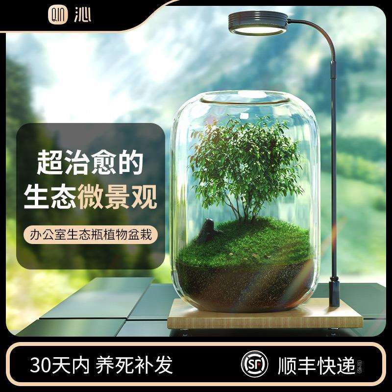 办公室桌面生态瓶自循环微景观免打理微生态玻璃微观鱼缸空瓶造景