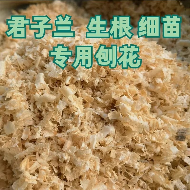 天然刨花锯末兰科君子兰生根木屑木粉木粒宠物除臭垫料发酵床包邮