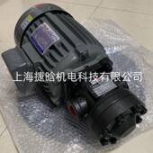 ELITE油泵电机组3HP FA1液压系统油泵 XVP 4P50T