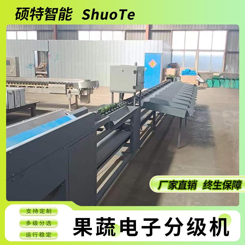 冰糖橙重量分选机柑橘称重等级电子选果机果冻橙大小果分级设备