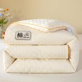 被子大豆纤维冬被200x230被芯四季 通用宿舍单人双人春秋学生宿舍