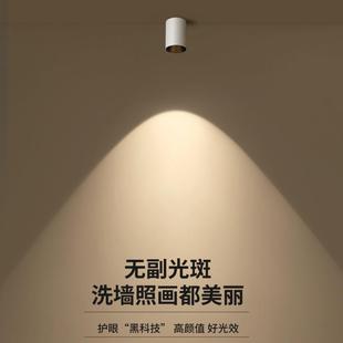 明装 射灯led圆形筒灯家用客厅无吊顶无主灯7w12瓦过道阳台灯