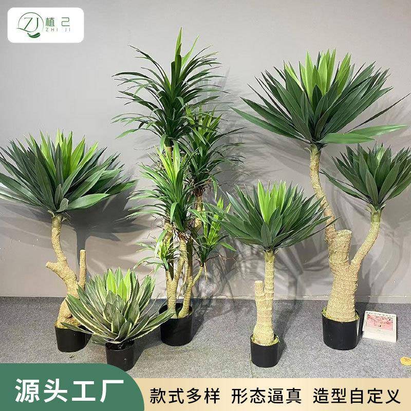 真软胶绿植龙须树室内家居橱窗大型植物盆栽装饰假奇异树剑麻
