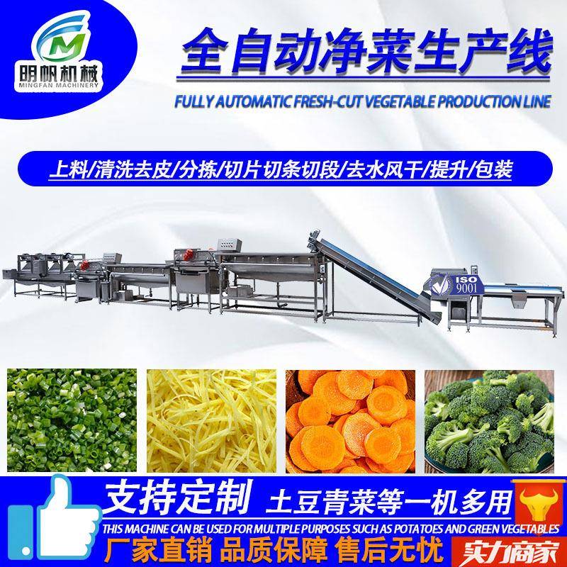 大型椰菜花气泡清洗机流水线 中央厨房净菜生产线 果蔬深加工设备