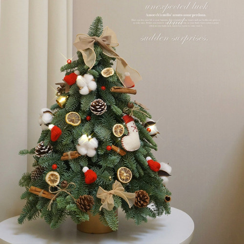 耶诞树小型家用摆件2023新款耶诞节装饰迷你桌面高级感诺贝松套餐