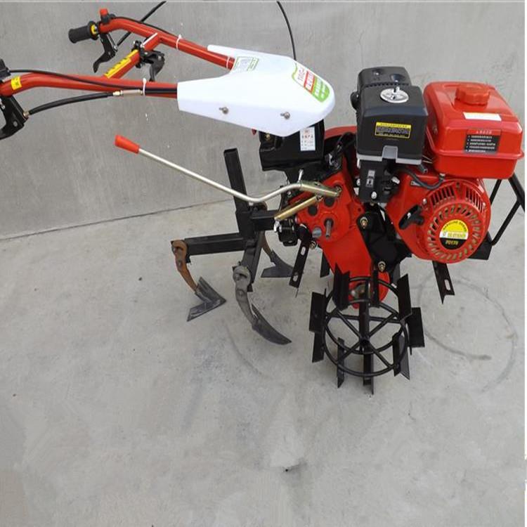 大棚沟RIJ设小锄草耕地机开农用型柴油起垄旋地备犁田旋耕机