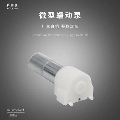 19BPW微型蠕动泵自吸泵直流6V12V抽水泵 洗手机微型皂液泵