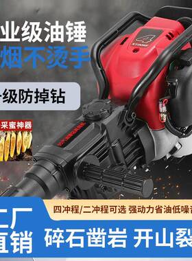 汽油XDQ电锤冲击钻两用四冲程汽油机多钻功汽油能镐手岩提式凿机