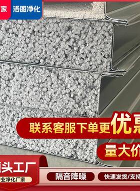 硅岩彩钢隔板保温隔热洁净板无尘车间板防净化工程墙建材火泡CZI