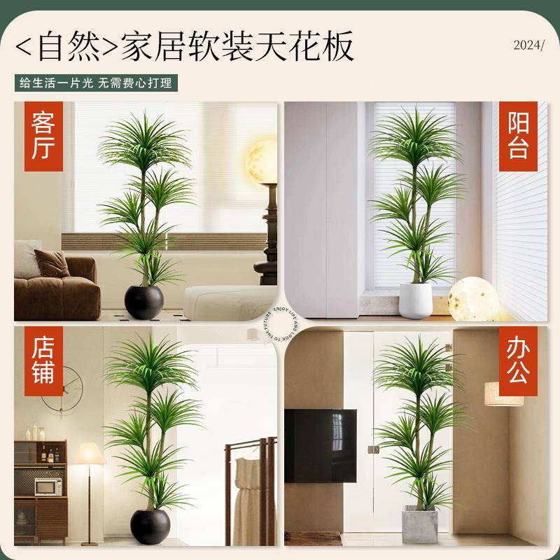绿F98SS95S饰植轻奢血树室内客厅大型龙仿生落植物盆栽地摆件装假