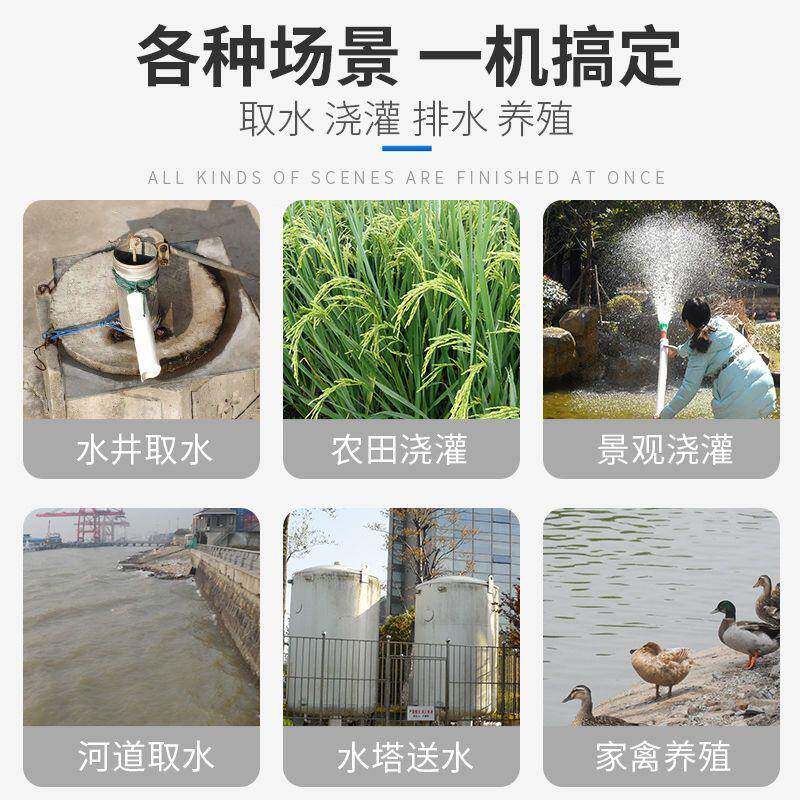 220无品牌/V不锈钢螺杆潜水泵扬泵程抽水家用井小型抽高水机深单