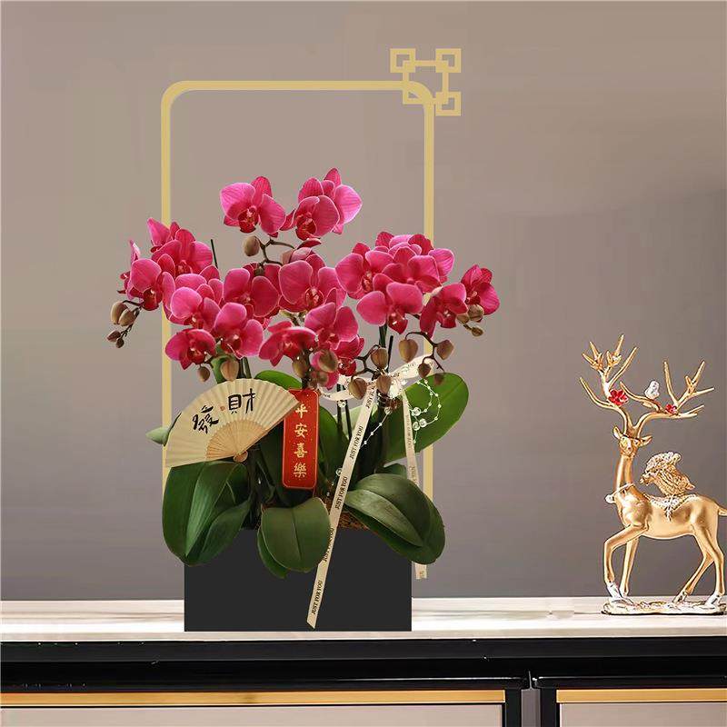 万福铁艺花盆花器蝴蝶兰盆金属北欧花架冬青盆器绿植仿真花新中式,纺织面料/辅料/配套,纺织机械配件,淘宝优惠券,粉丝福利购,淘宝优惠卷