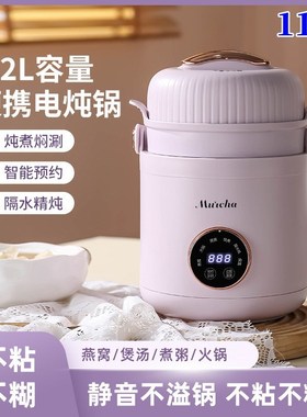 110v小家电炖锅便携多功能大容量电饭煲煮锅煲汤熬粥炖汤电炖杯