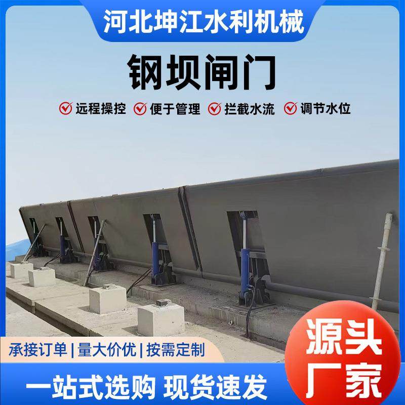 景观液压坝液压钢坝水利工程底轴驱动翻板钢坝闸门液压合页坝,纺织面料/辅料/配套,纺织机械配件,淘宝优惠券,粉丝福利购,淘宝优惠卷