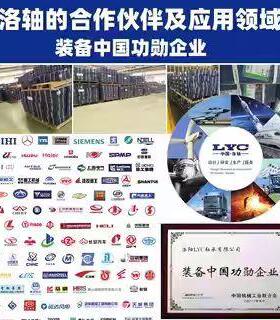 YC洛阳轴承集团NNUNJ16L171819YMN202122MEM