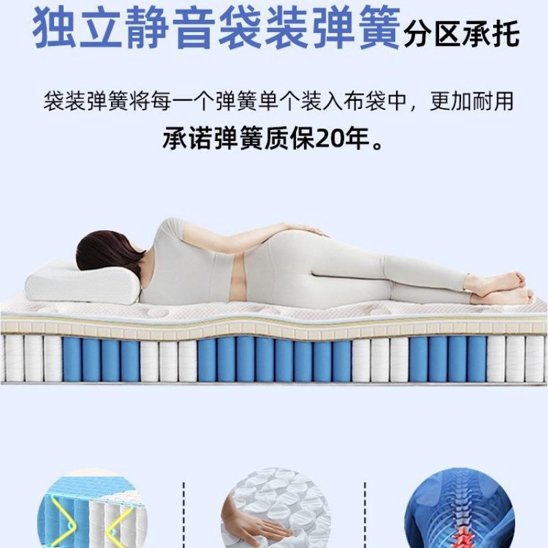 席梦无品牌/思弹家簧房床垫2硬0cm厚椰棕租专用1.5米酒店用卧室乳
