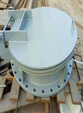 大口径FMP浮箱式拍防倒流玻璃钢材质门污水管道UEZ拍门