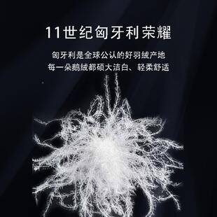 20支纯棉MYXK-230全棉西伯利95白鹅绒枕芯绒枕鹅头酒亚店单人枕羽