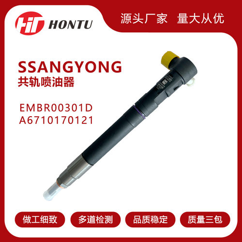R00301D A6710170121 EMBR00301D共轨喷油器适用于双龙