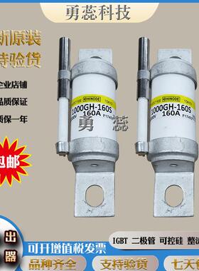 日出之H快速熔器660G-125S660GH-150S66GWY0GH-断160S