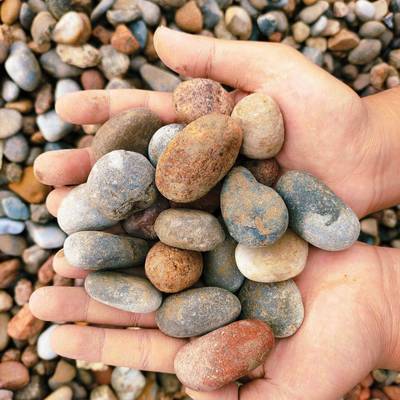 厂家鹅卵景石21301观用河卵石变压器鹅卵石5-8c卵m鹅石园观林景用