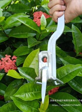 树爬树KNV脚扎子大拐上工具伐防木捕蜂打松塔穿蜂服上树树爬器其