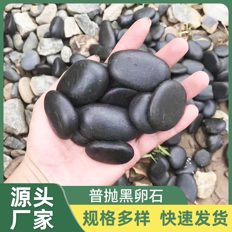 普抛黑鹅卵石园林铺路水族造景
