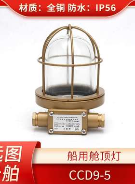 船用铜质白炽舱顶灯CCD9-5/5A货仓舱室照明灯220V24V透明绿色红色