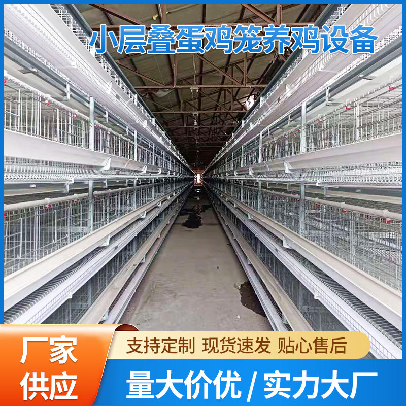 小层叠蛋鸡笼养鸡设备立体式阶梯式蛋鸡笼养殖场三层四层备育雏笼