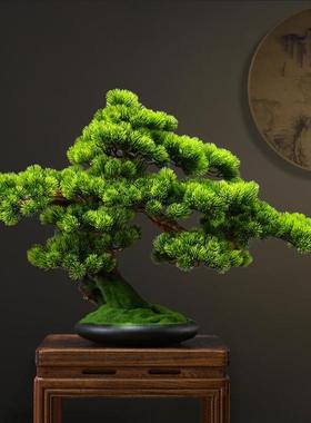 新中植式仿真客松景盆摆件崖柏JQ-63996盆栽客厅假树物酒店装饰玄