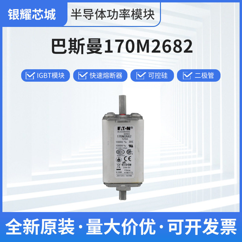 巴斯曼熔断器170M2660直发包退