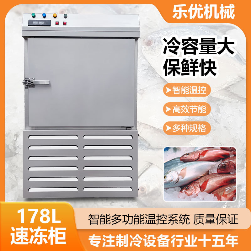 优选冰棍雪糕急速冷冻柜 水果草莓芒果原浆小型商用低温速冻柜