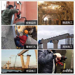 大有5401锂电无刷电锤电镐电钻三用充电式冲击钻多功能 电动工具