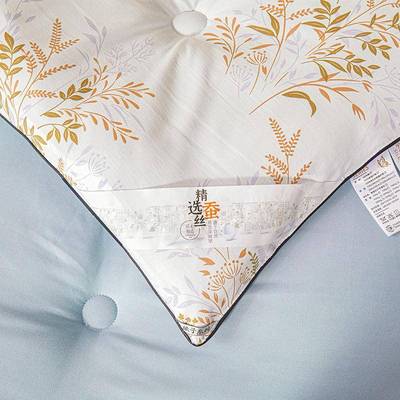 格奇蚕丝被100桑蚕冬丝天被子冬加厚秋保暖棉被冬被季被春芯
