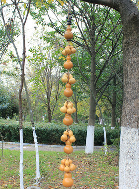 天然大小真葫芦串挂饰儿童福多招财挂件客厅装饰手工吊饰特色门饰