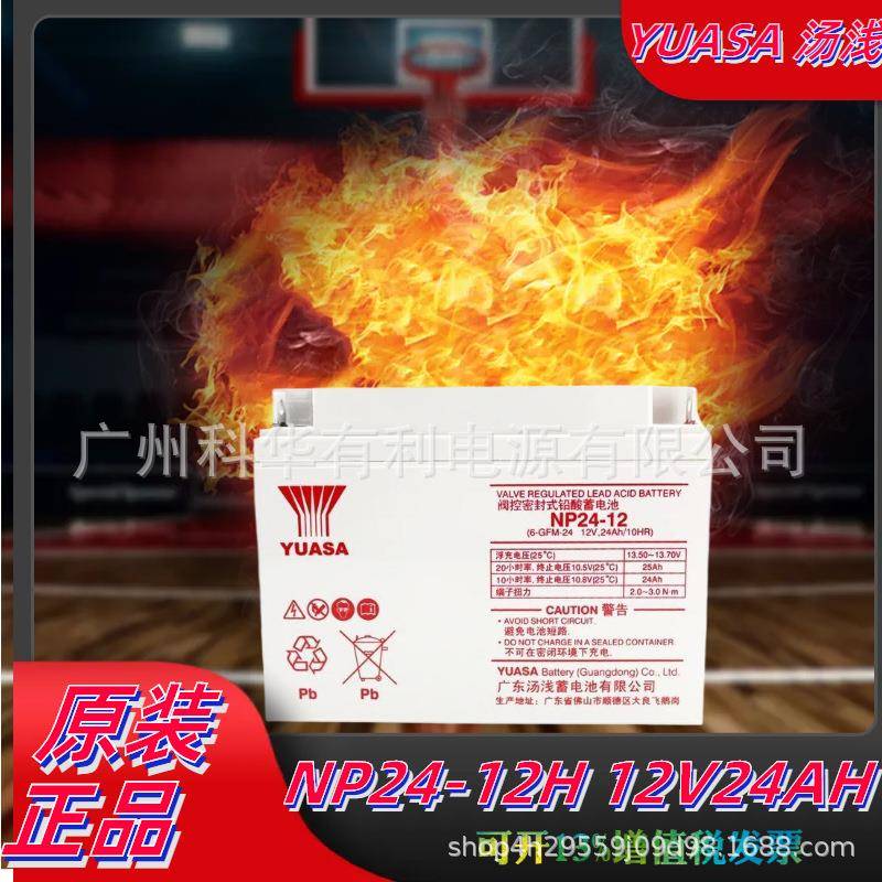 生化仪/血细胞分析仪12V18Ah汤浅蓄电池12V24AH脑CT室NP24-12H