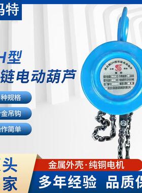 供应DH型环链电动葫芦可出口10t电动葫芦悬挂式节能防爆