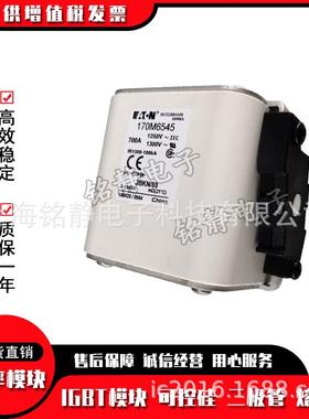 保险丝熔断器GFR17M65001M70M650117066441700M664517M66406