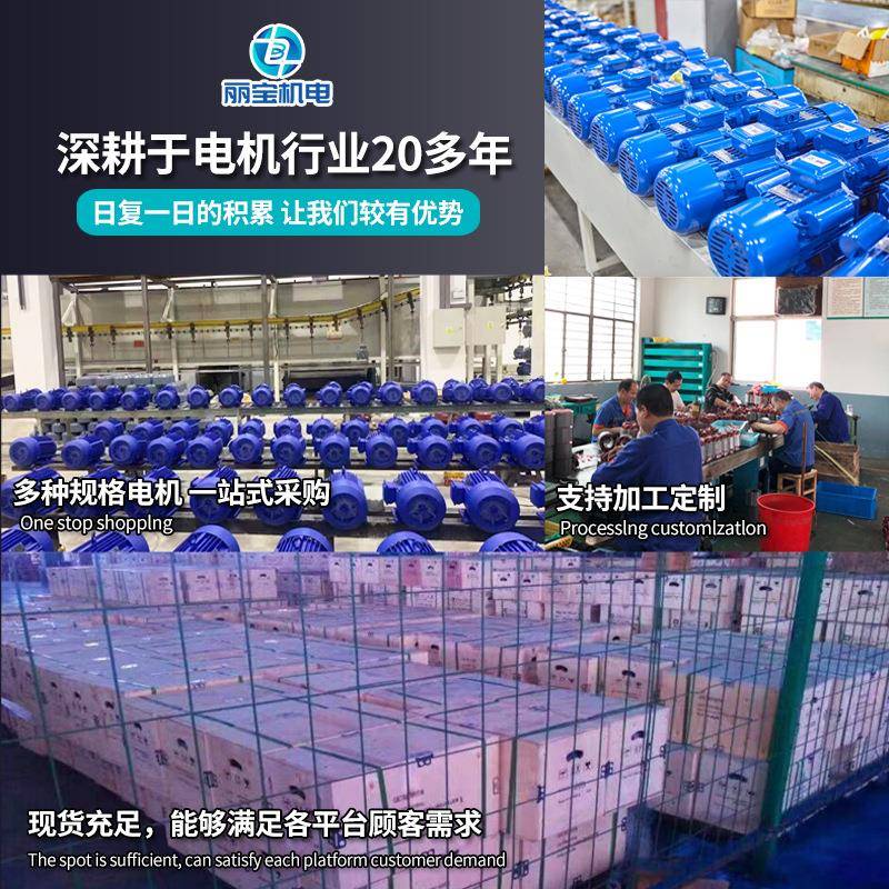 三电机0.75/1k.1/1.5/2.2/4/5.57.5//11/15/2YAR2w铜相线132油泵