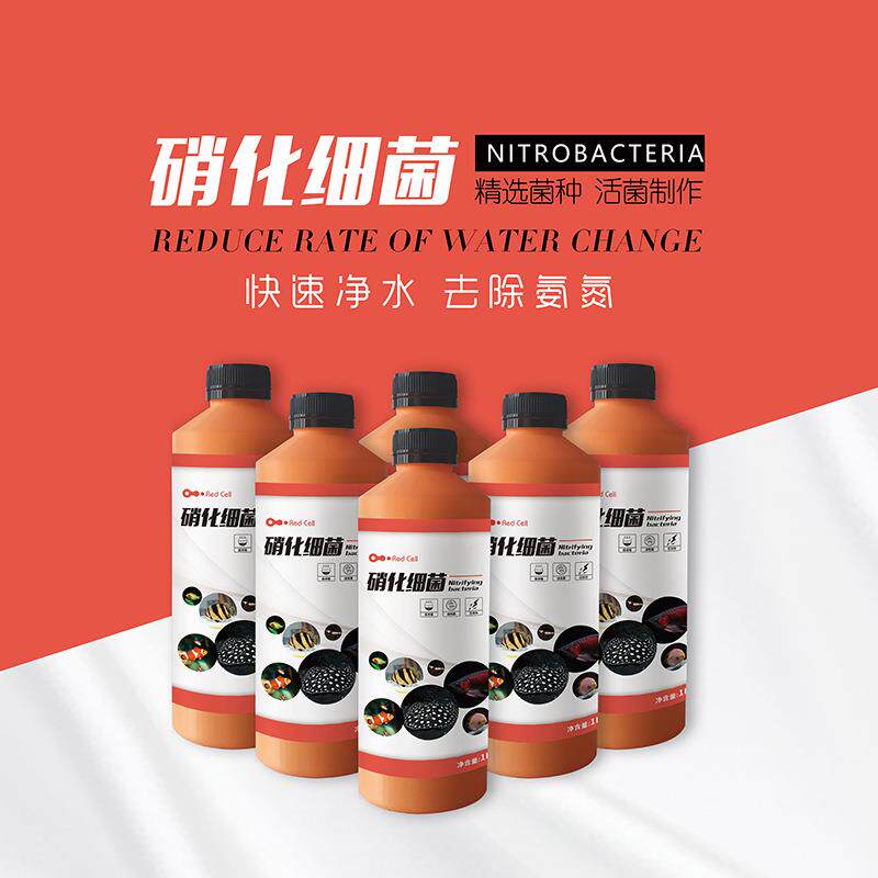 鱼A硝化细菌鱼缸用水质净化消化菌液体PBY活C水族菌养用品水质稳