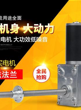 58031ZY蜗轮蜗杆减速电机锁螺杆电机M8螺杆-轴RXQ142v24V自电机