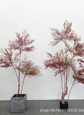 南竹大家居室内LL-55外落地仿真绿天植南竺书房客厅橱型窗摆件天