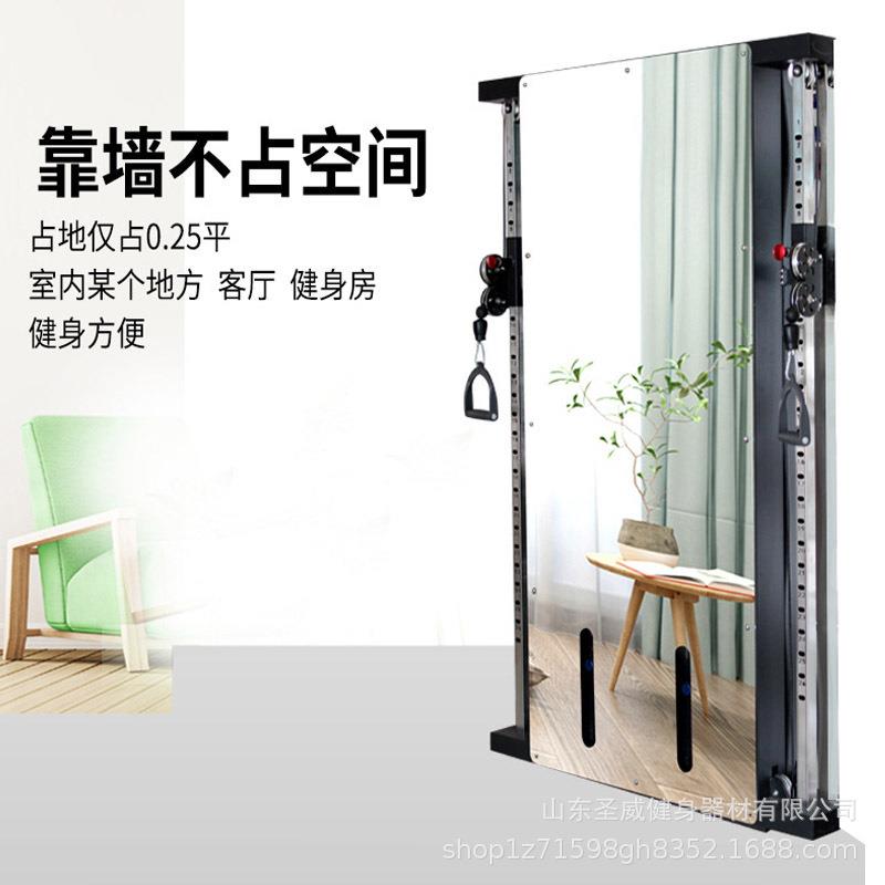 壁挂墙体小飞鸟龙门架单边贴墙飞鸟综合训练器镜面飞鸟健身架家用