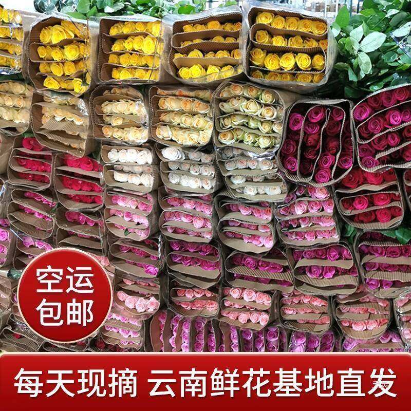 速递直发斗南基地昆明办公室玫瑰花鲜花全国云南家用直批新鲜包邮,机械设备,其他机械设备,淘宝优惠券,粉丝福利购,淘宝优惠卷