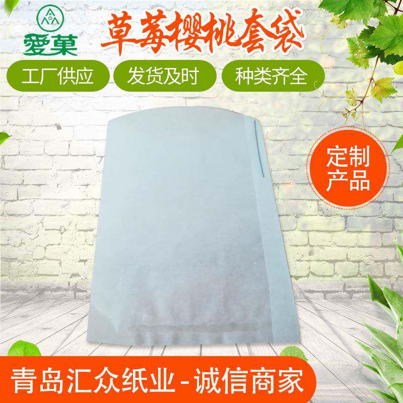 果园农用草莓樱桃套袋专用防鸟防虫防雨袋水果保护袋