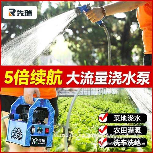充电式抽水泵菜地浇水机淋浇菜农用浇默认项
