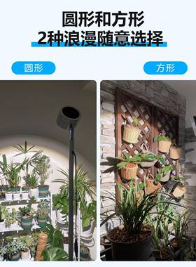 全光谱绿植无生长灯眼室内热植花卉专用护频物闪植补光灯仿太CSY