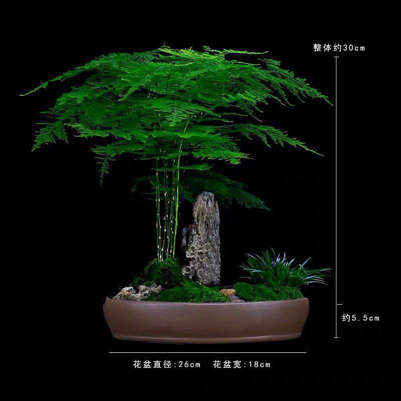 精品文盆竹盆室花卉山水造型盆景无品牌/植物客厅办内公室栽绿植,饰品/流行首饰/时尚饰品新,DIY配件,淘宝优惠券,粉丝福利购,淘宝优惠卷