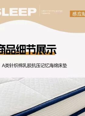 记忆海绵乳胶床垫软垫A专类学生宿舍租房用米飘窗80389子榻榻垫软