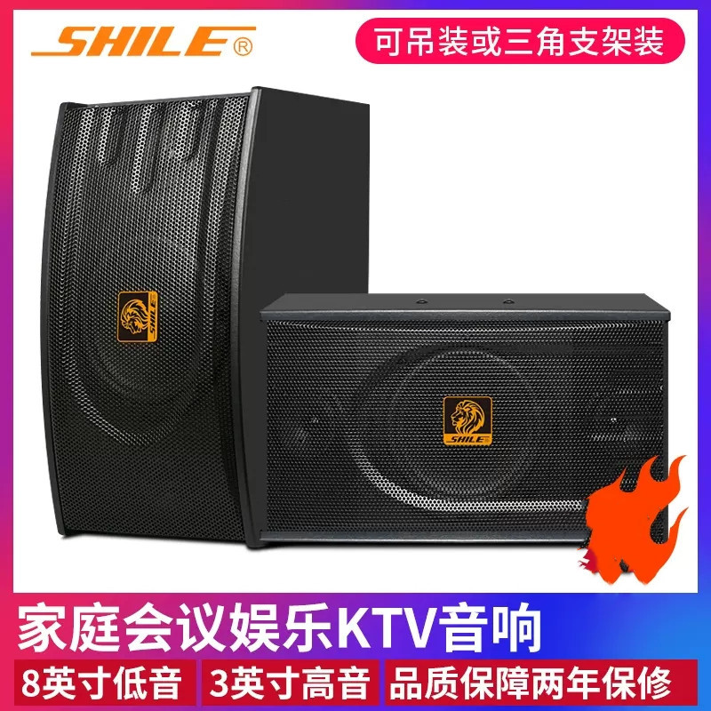 狮乐BX118专业家庭ktv音响家用卡拉OK音箱/会议室/教学/活动舞图片